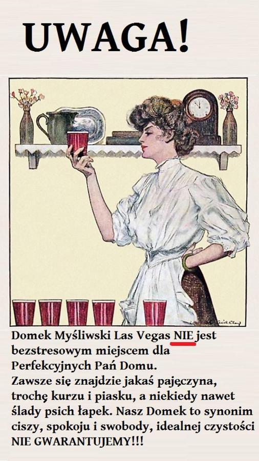Domek Mysliwski Las Vegas Mierzyn  Экстерьер фото
